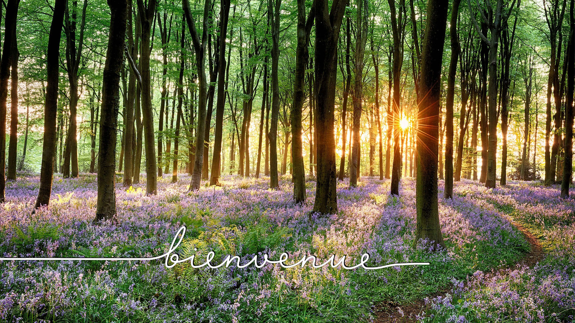 Wendy Rialland - Portrait